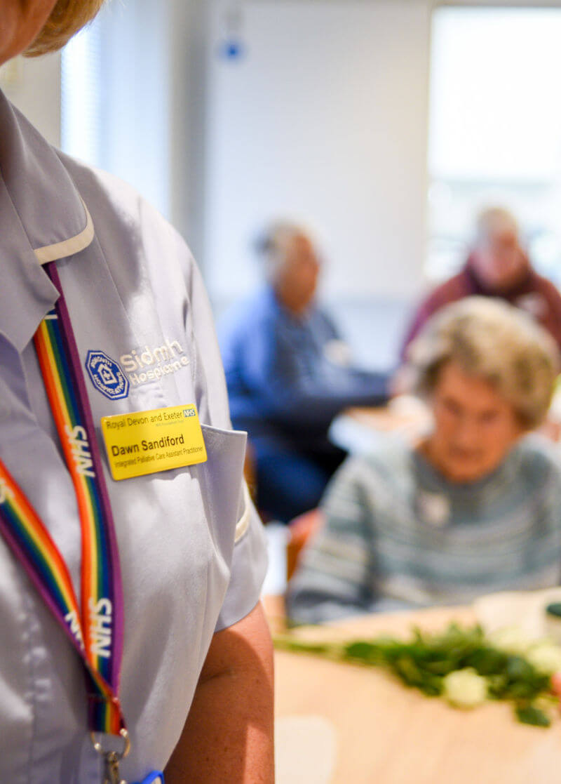 Palliative care v